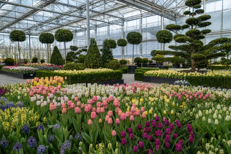 Spring flower displays in a trade fair hall